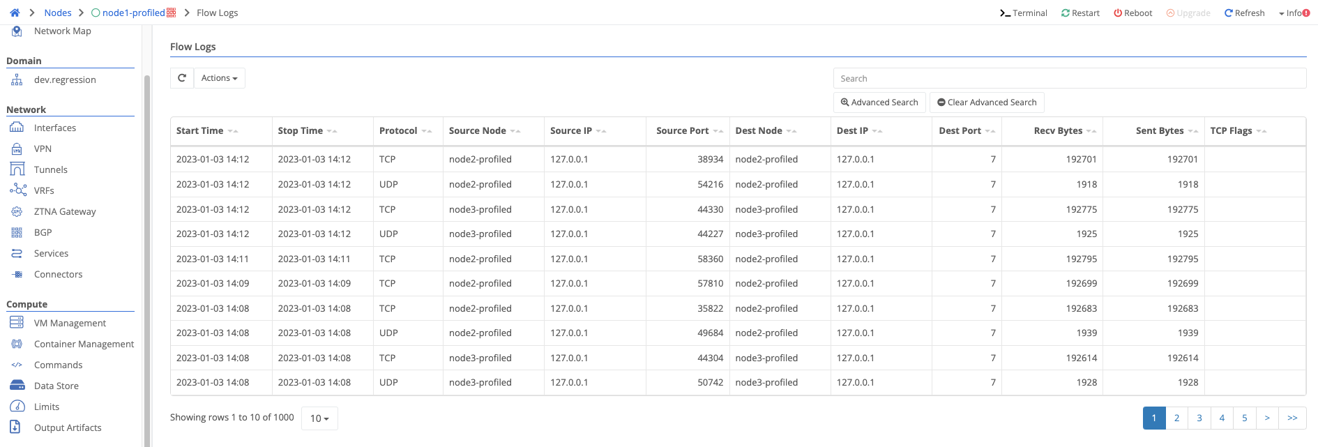 table showing flow log entries for a node